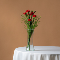Detalle con clavel spray - Imagen 1