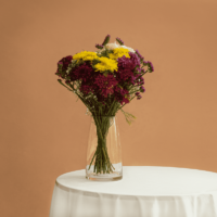 Plan anual – Ramo Primaveral - Imagen 1